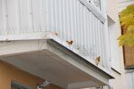 вот как легко отпугнуть птиц с балкона или окна zashhita-na-okna-v-minske-3