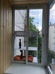 балкон-для-кота-кошки-сетка-13.06 (2)