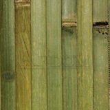 бамбук на балкон зеленый